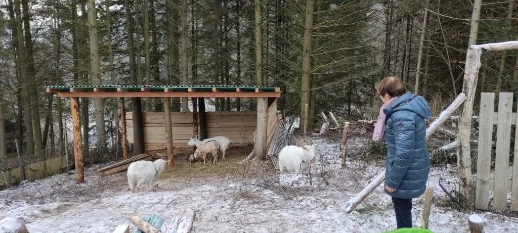 Stallaufbau an der oberen Birken (1)