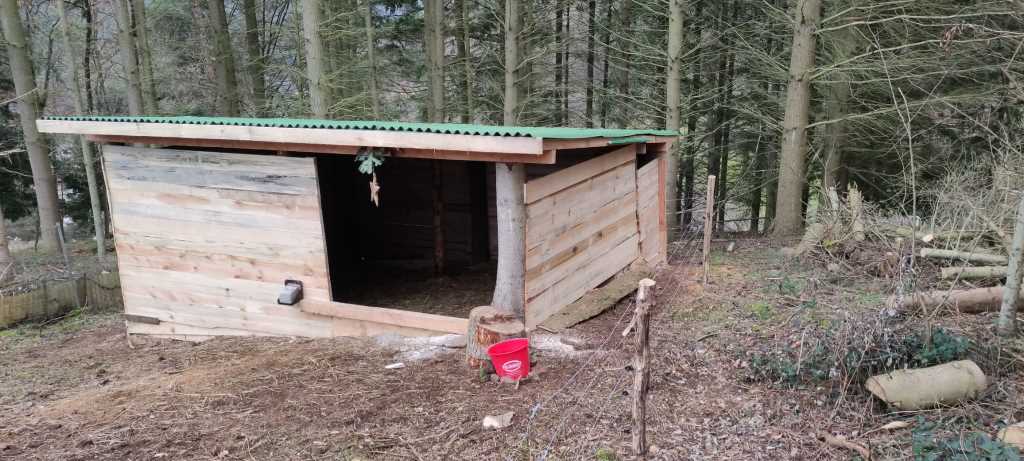 Stallaufbau an der oberen Birken (2)