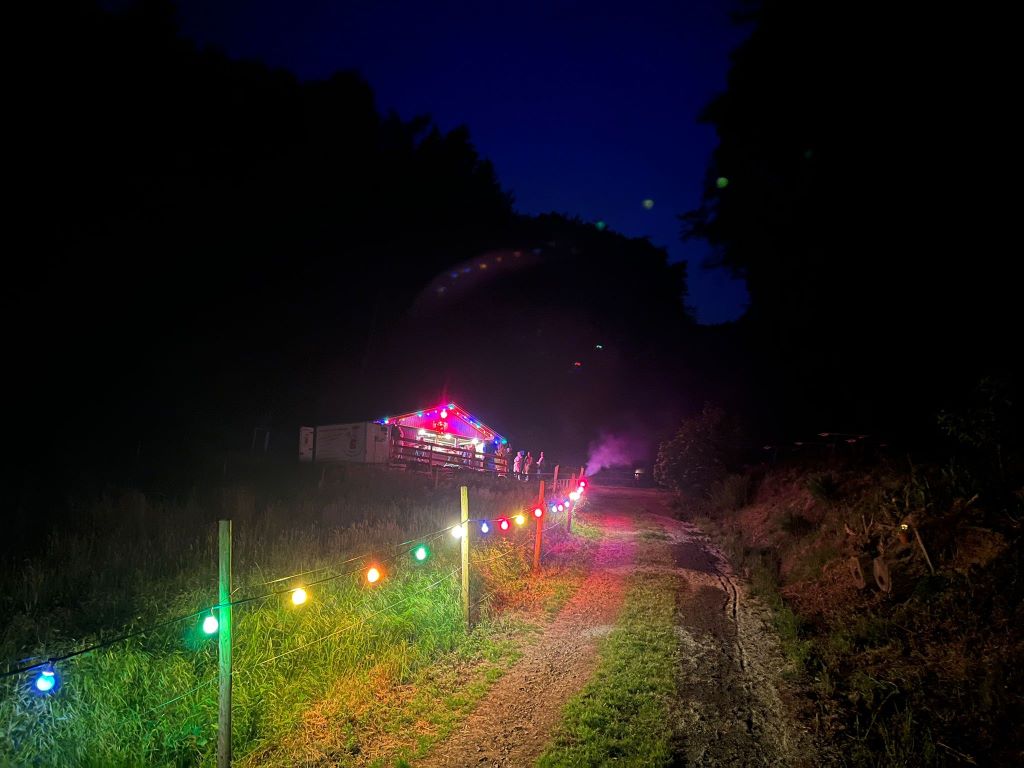 Blütenfest am Abend