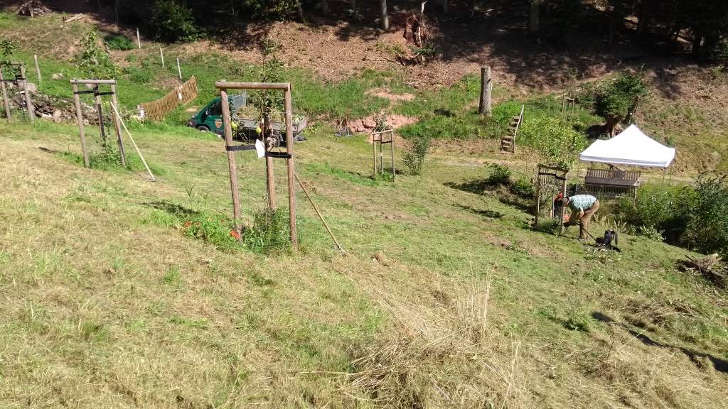 Streuobstwiese oberhalb von Balzers Plätzl im Joppenholzer Tal