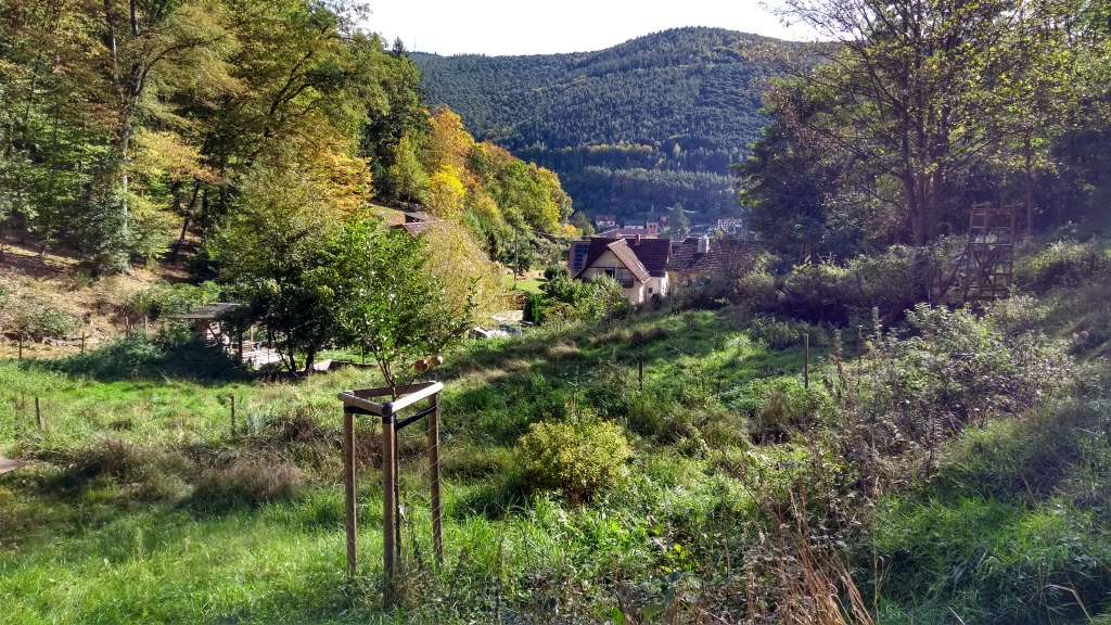 September 2023, Blick vom Joppenholz: In Lindenberg ist der Wald nie weit