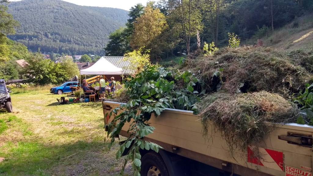 Mittagspause in gemütlicher Runde