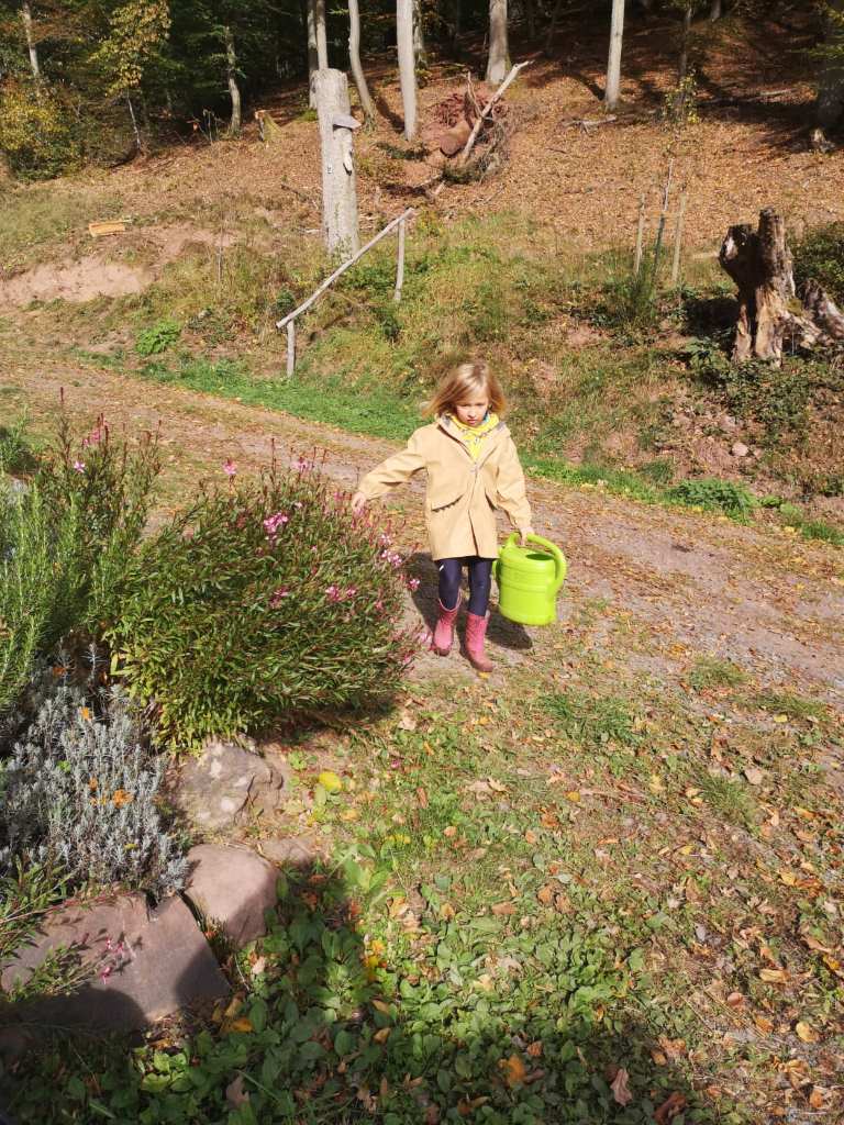 Fleißige Helferin: Wasser für den jungen Baum