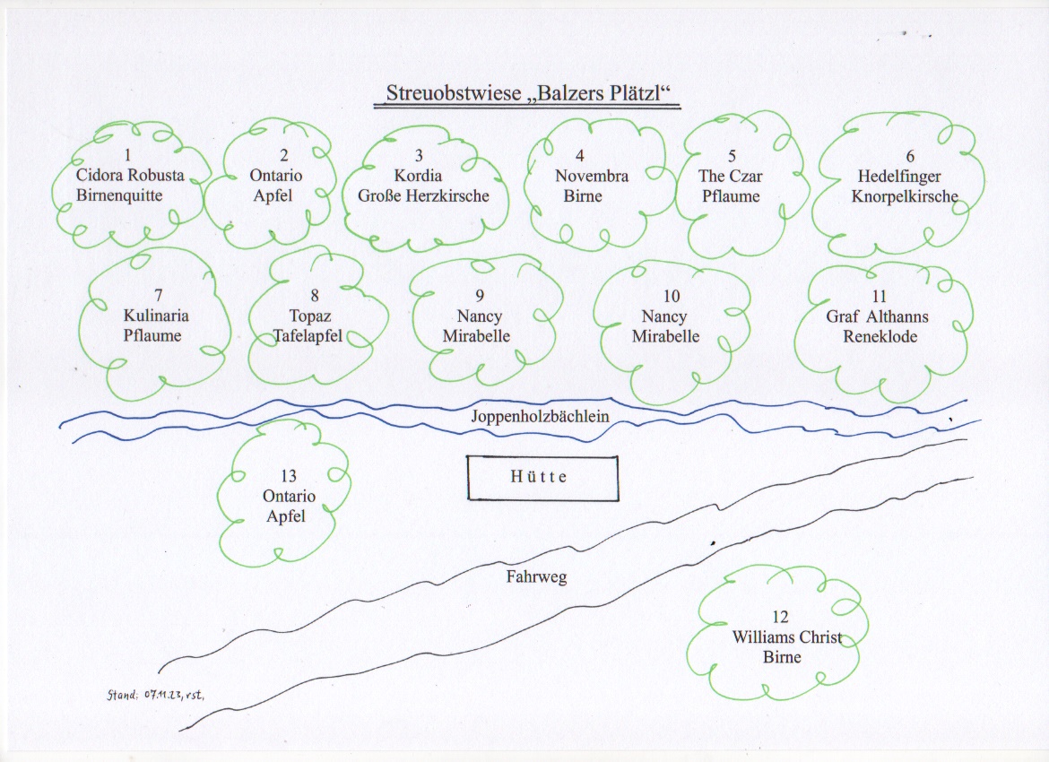 Plan der Obstbäume auf der Wiese oberhalb von Balzers Plätzl